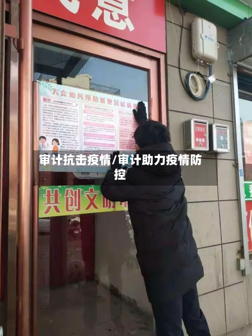 审计抗击疫情/审计助力疫情防控
