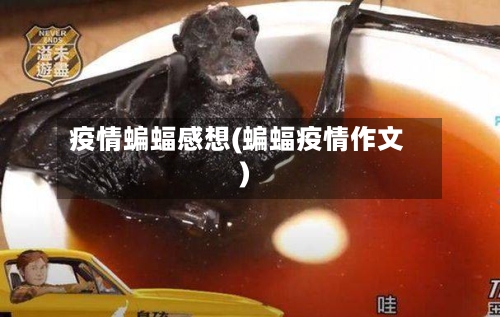 疫情蝙蝠感想(蝙蝠疫情作文)