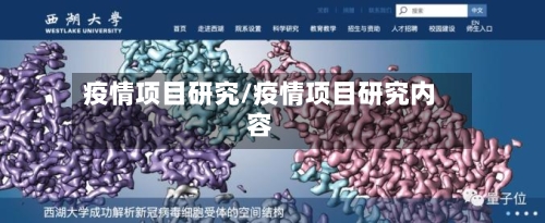 疫情项目研究/疫情项目研究内容