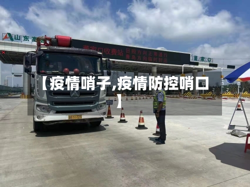 【疫情哨子,疫情防控哨口】