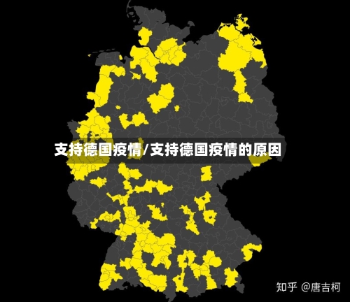 支持德国疫情/支持德国疫情的原因