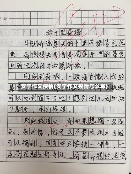 安宁作文疫情(安宁作文疫情怎么写)