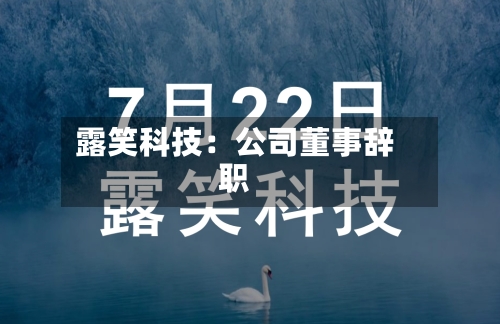 露笑科技：公司董事辞职