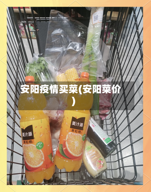 安阳疫情买菜(安阳菜价)