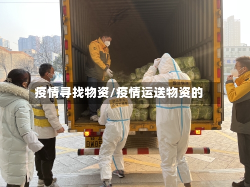 疫情寻找物资/疫情运送物资的