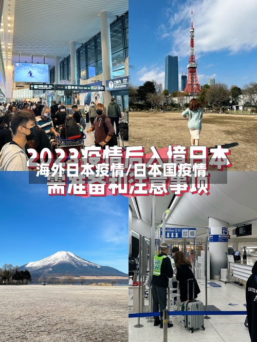 海外日本疫情/日本国疫情