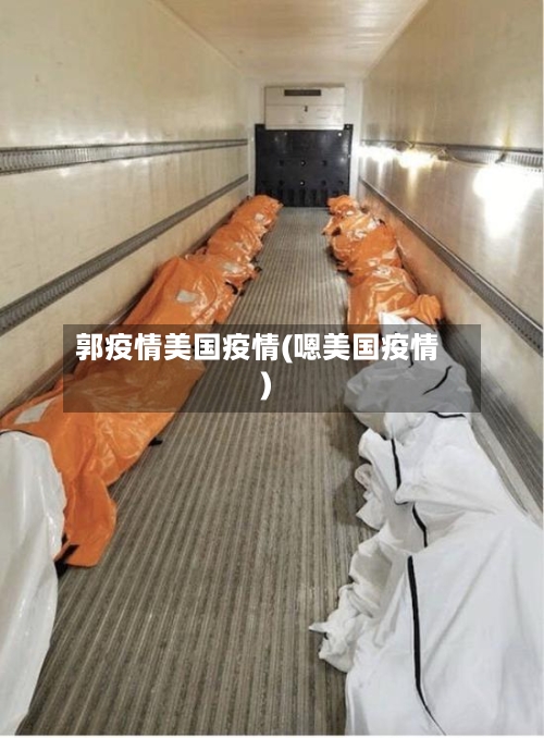 郭疫情美国疫情(嗯美国疫情)