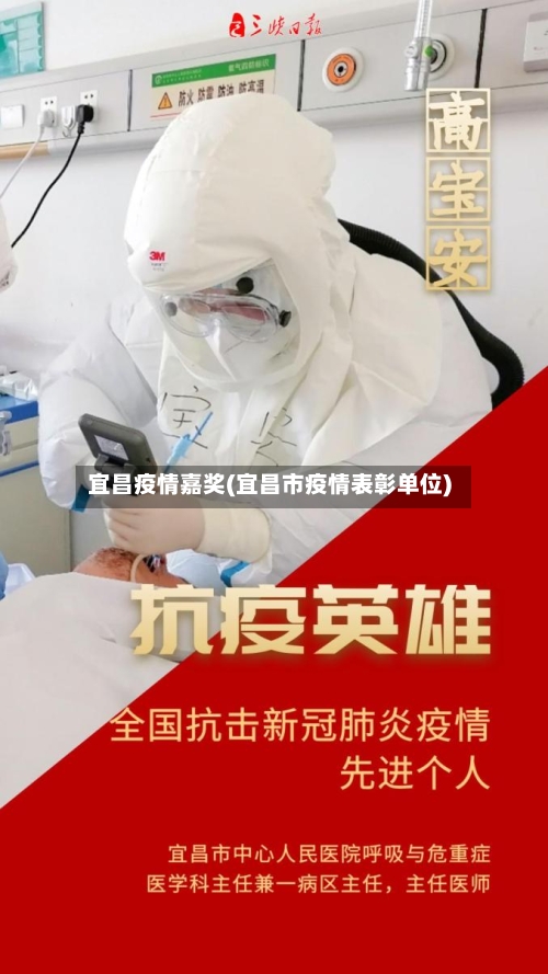 宜昌疫情嘉奖(宜昌市疫情表彰单位)