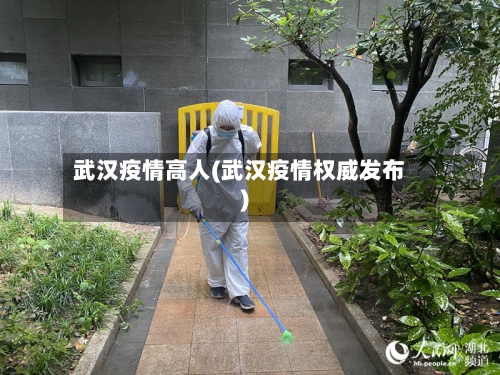 武汉疫情高人(武汉疫情权威发布)