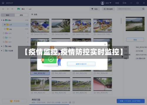 【疫情监控,疫情防控实时监控】