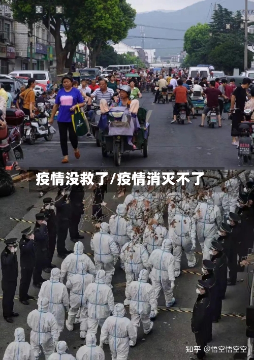 疫情没救了/疫情消灭不了