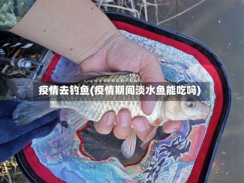 疫情去钓鱼(疫情期间淡水鱼能吃吗)
