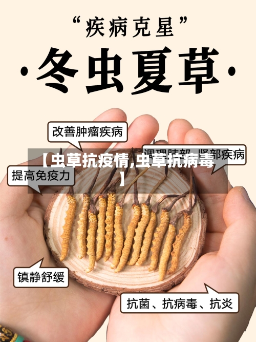 【虫草抗疫情,虫草抗病毒】