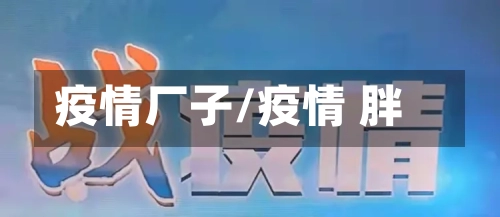 疫情厂子/疫情 胖