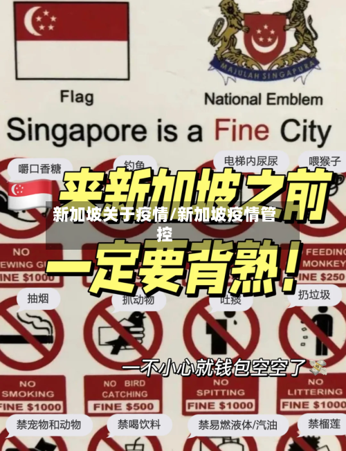 新加坡关于疫情/新加坡疫情管控