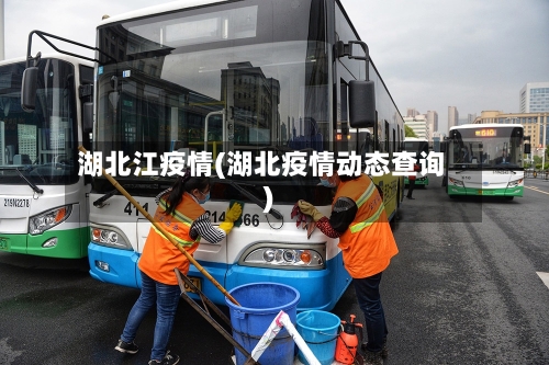 湖北江疫情(湖北疫情动态查询)