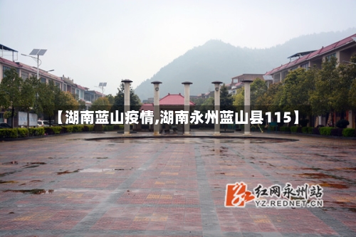 【湖南蓝山疫情,湖南永州蓝山县115】