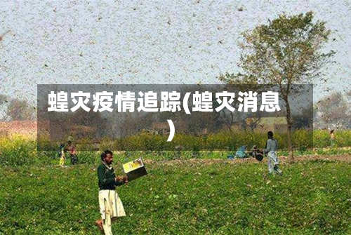 蝗灾疫情追踪(蝗灾消息)