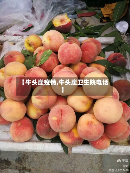 【牛头崖疫情,牛头崖卫生院电话】