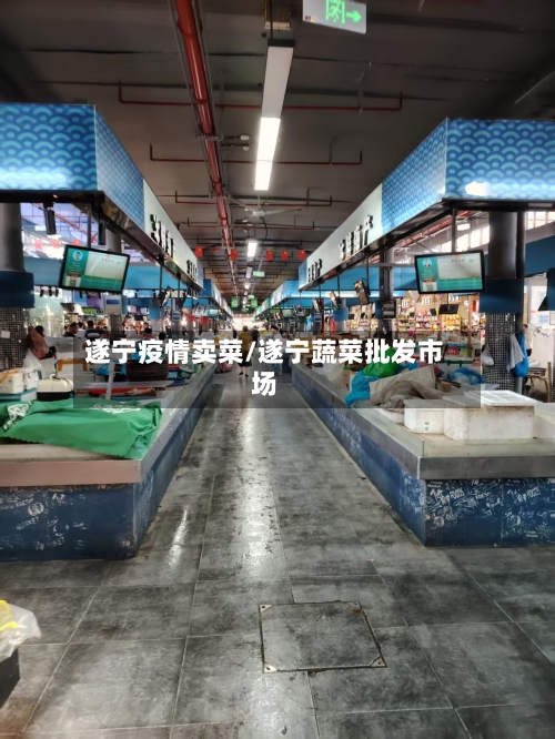 遂宁疫情卖菜/遂宁蔬菜批发市场