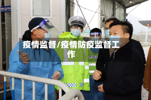 疫情监督/疫情防疫监督工作