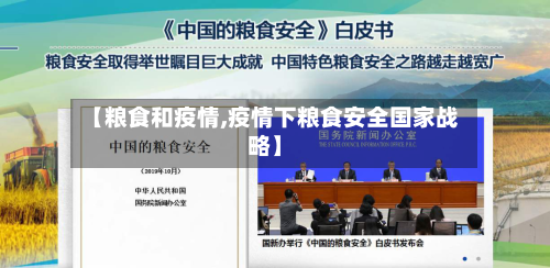 【粮食和疫情,疫情下粮食安全国家战略】