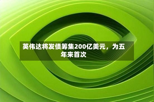 英伟达将发债筹集200亿美元，为五年来首次