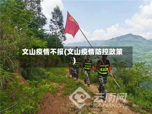 文山疫情不报(文山疫情防控政策)