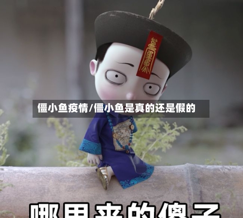 僵小鱼疫情/僵小鱼是真的还是假的
