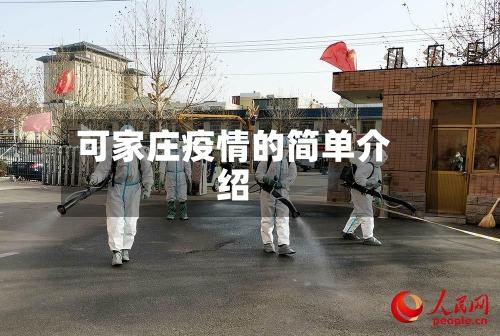 可家庄疫情的简单介绍
