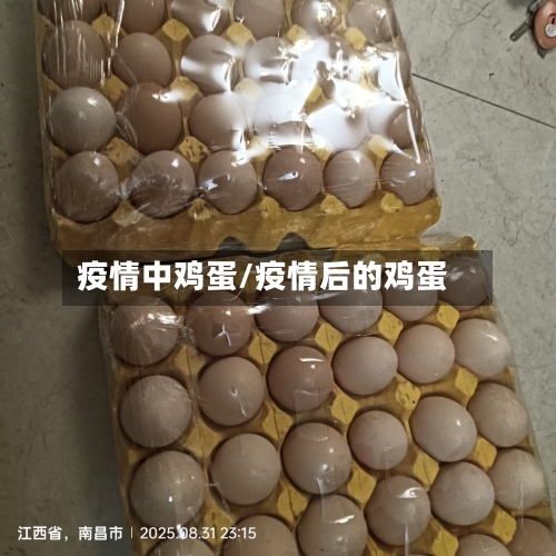 疫情中鸡蛋/疫情后的鸡蛋