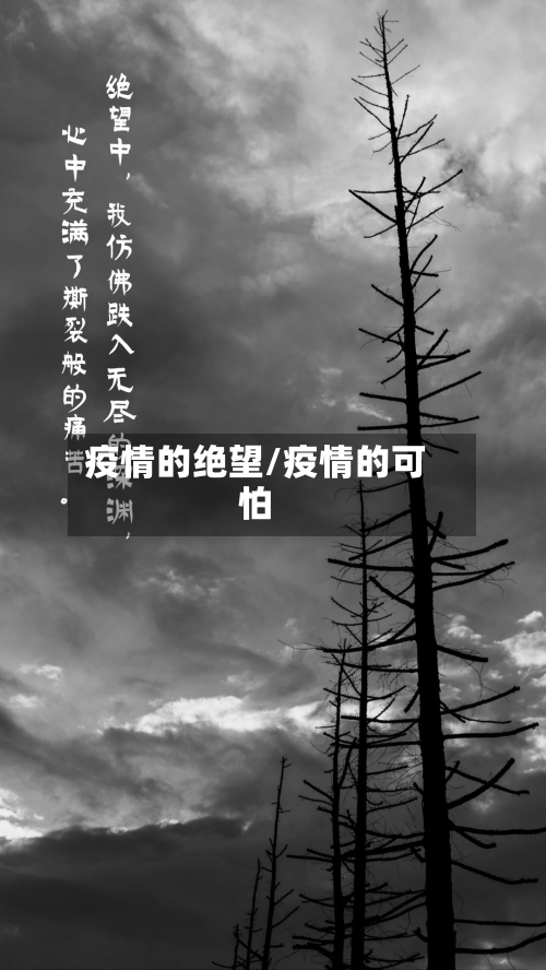 疫情的绝望/疫情的可怕