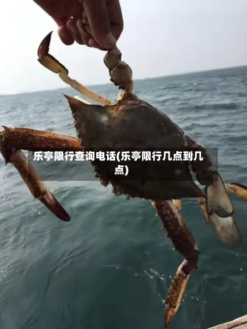 乐亭限行查询电话(乐亭限行几点到几点)