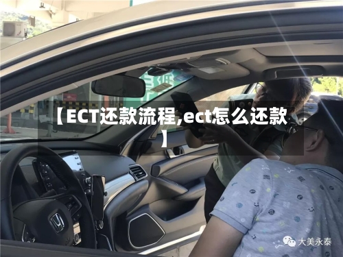 【ECT还款流程,ect怎么还款】