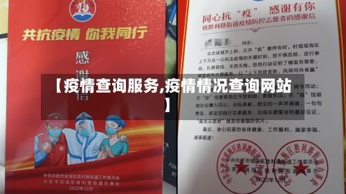 【疫情查询服务,疫情情况查询网站】