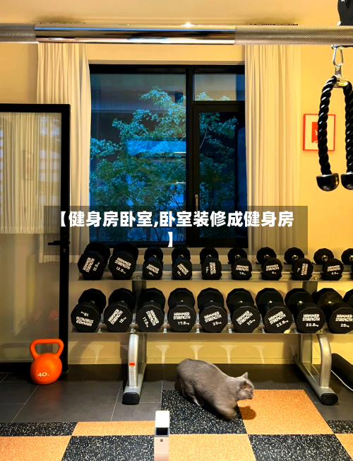 【健身房卧室,卧室装修成健身房】