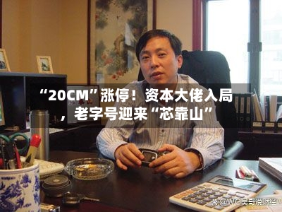 “20CM”涨停！资本大佬入局，老字号迎来“芯靠山”
