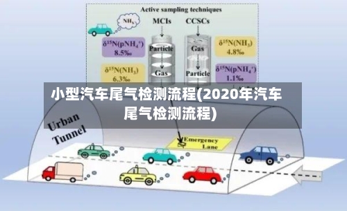 小型汽车尾气检测流程(2020年汽车尾气检测流程)
