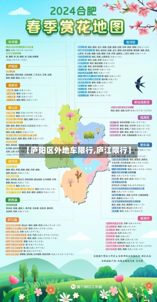 【庐阳区外地车限行,庐江限行】