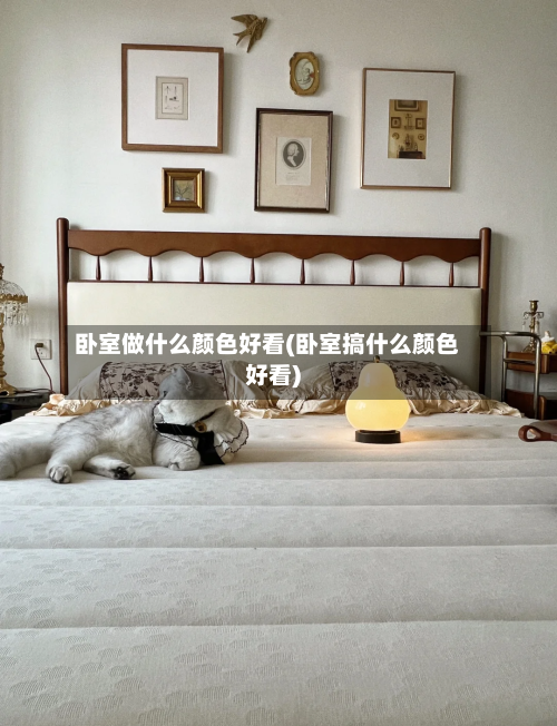 卧室做什么颜色好看(卧室搞什么颜色好看)