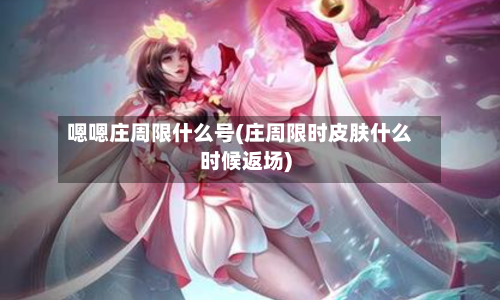 嗯嗯庄周限什么号(庄周限时皮肤什么时候返场)