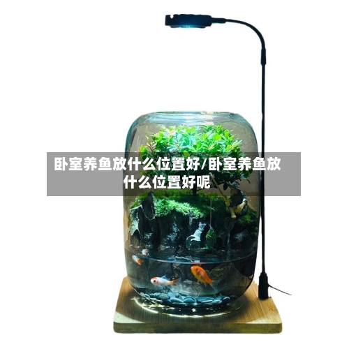 卧室养鱼放什么位置好/卧室养鱼放什么位置好呢