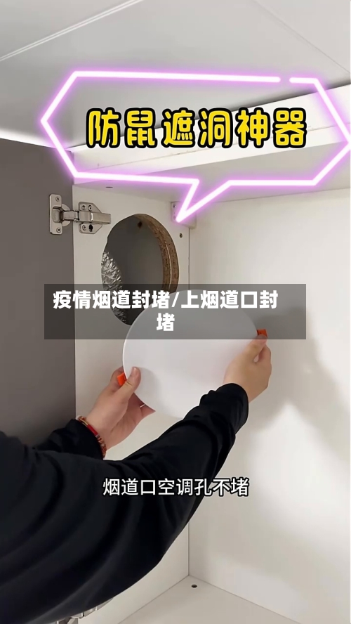 疫情烟道封堵/上烟道口封堵