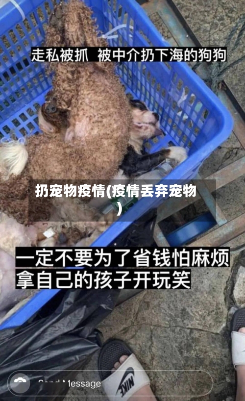 扔宠物疫情(疫情丢弃宠物)