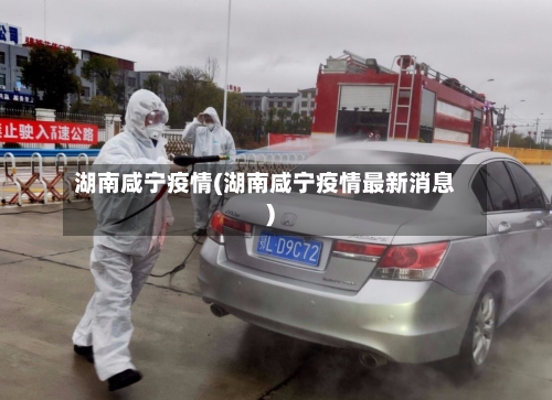 湖南咸宁疫情(湖南咸宁疫情最新消息)