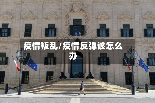 疫情叛乱/疫情反弹该怎么办