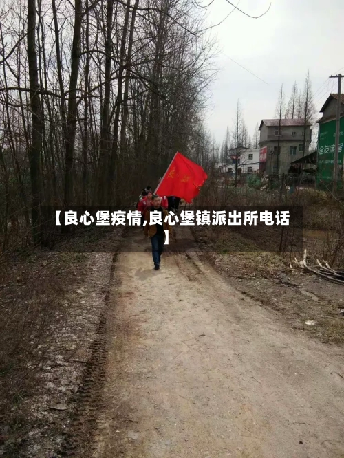 【良心堡疫情,良心堡镇派出所电话】