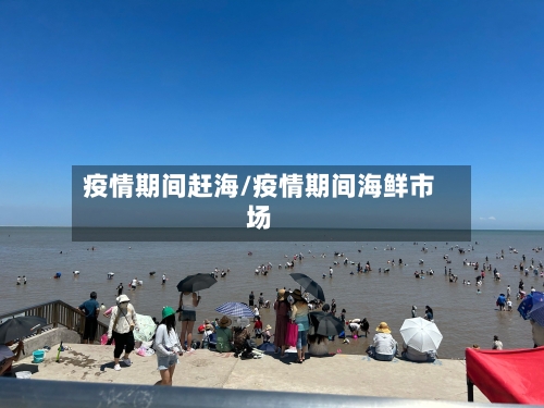 疫情期间赶海/疫情期间海鲜市场
