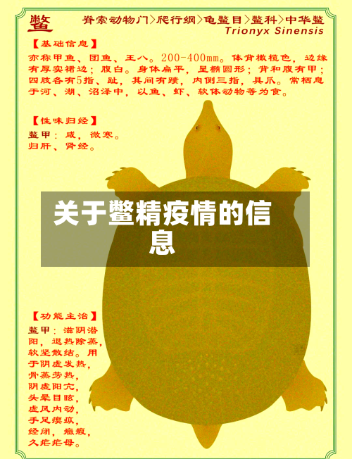 关于鳖精疫情的信息