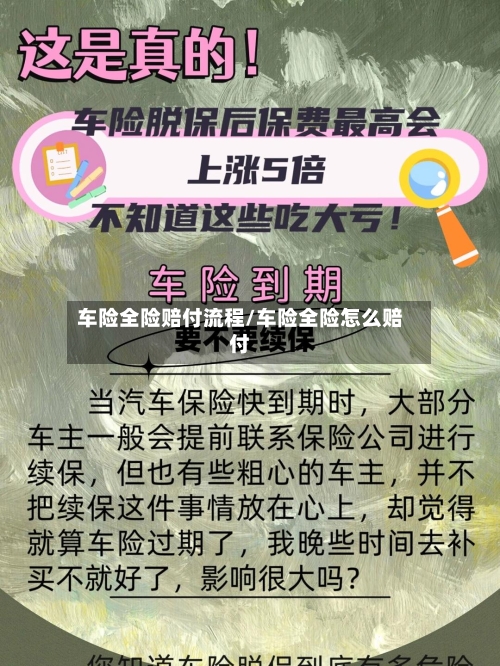 车险全险赔付流程/车险全险怎么赔付